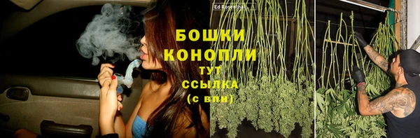 ECSTASY Вяземский